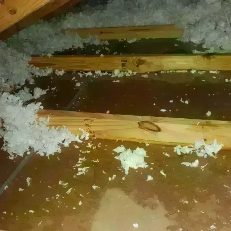 Attic Water Damage in Lincoln, CA