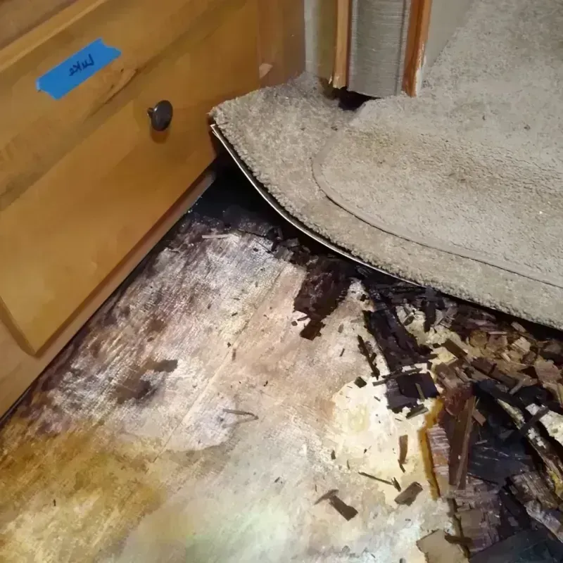 Wood Floor Water Damage in Lincoln, CA